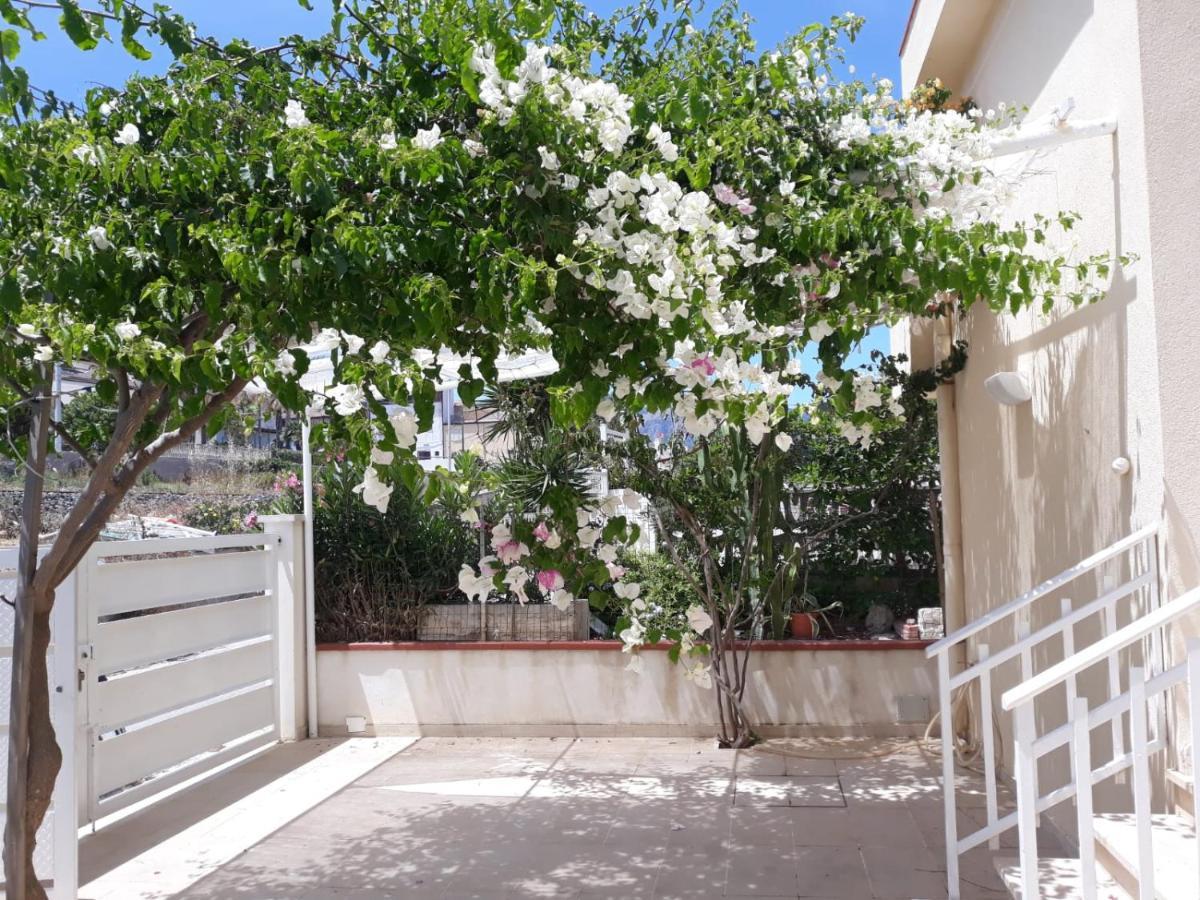 Castellammare Holiday 阿尔卡莫马里纳 外观 照片