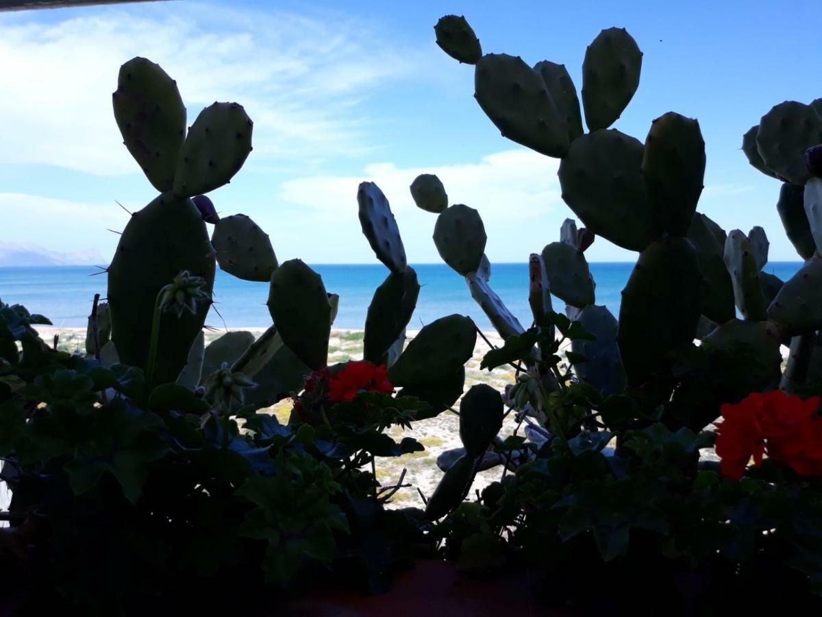 Castellammare Holiday 阿尔卡莫马里纳 外观 照片